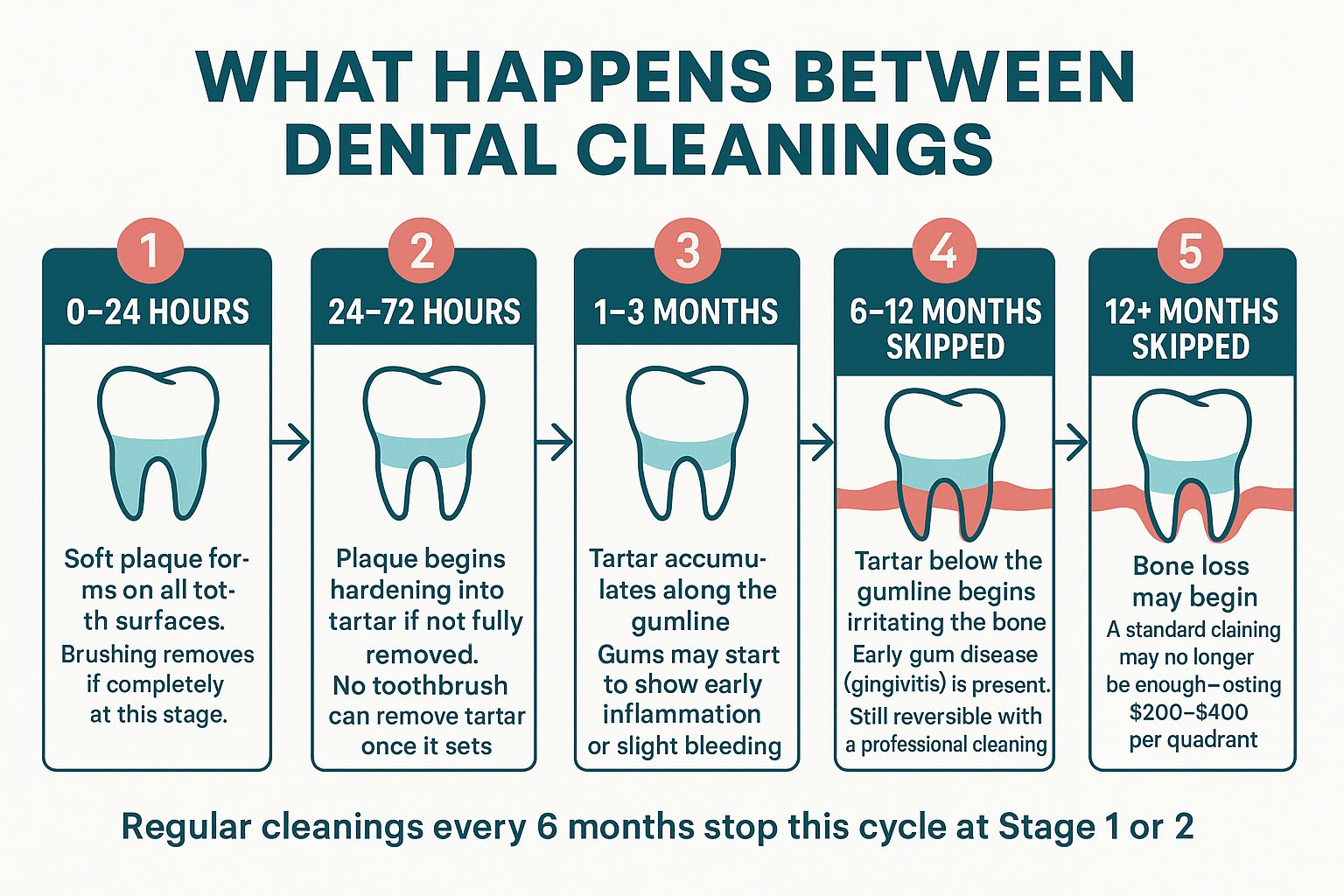 You Brush Every Day — So Why Do Cleanings Still Matter?